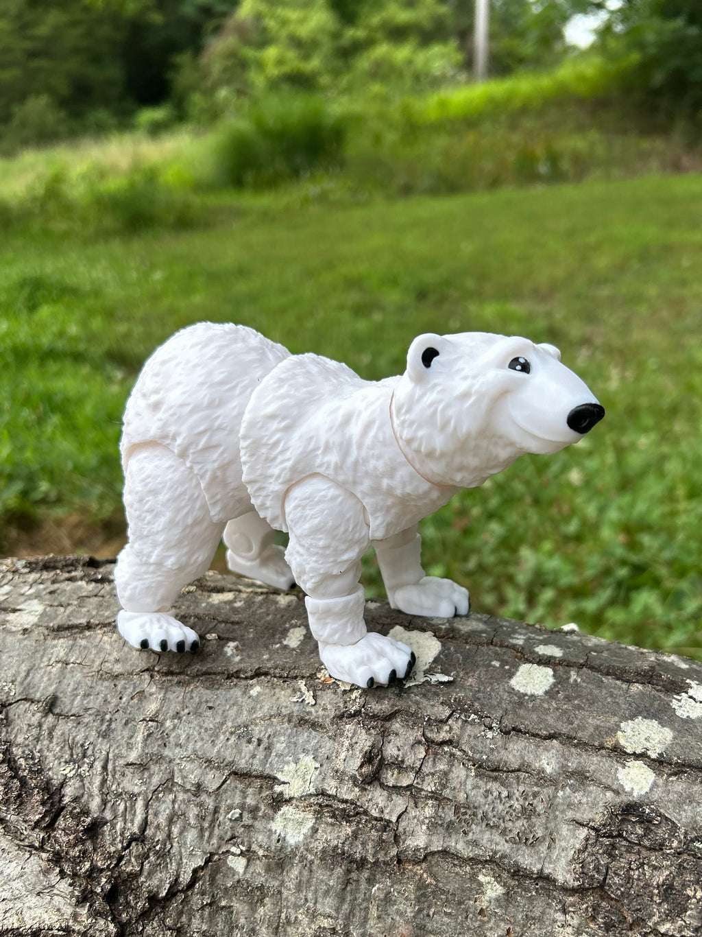 Polar Bear