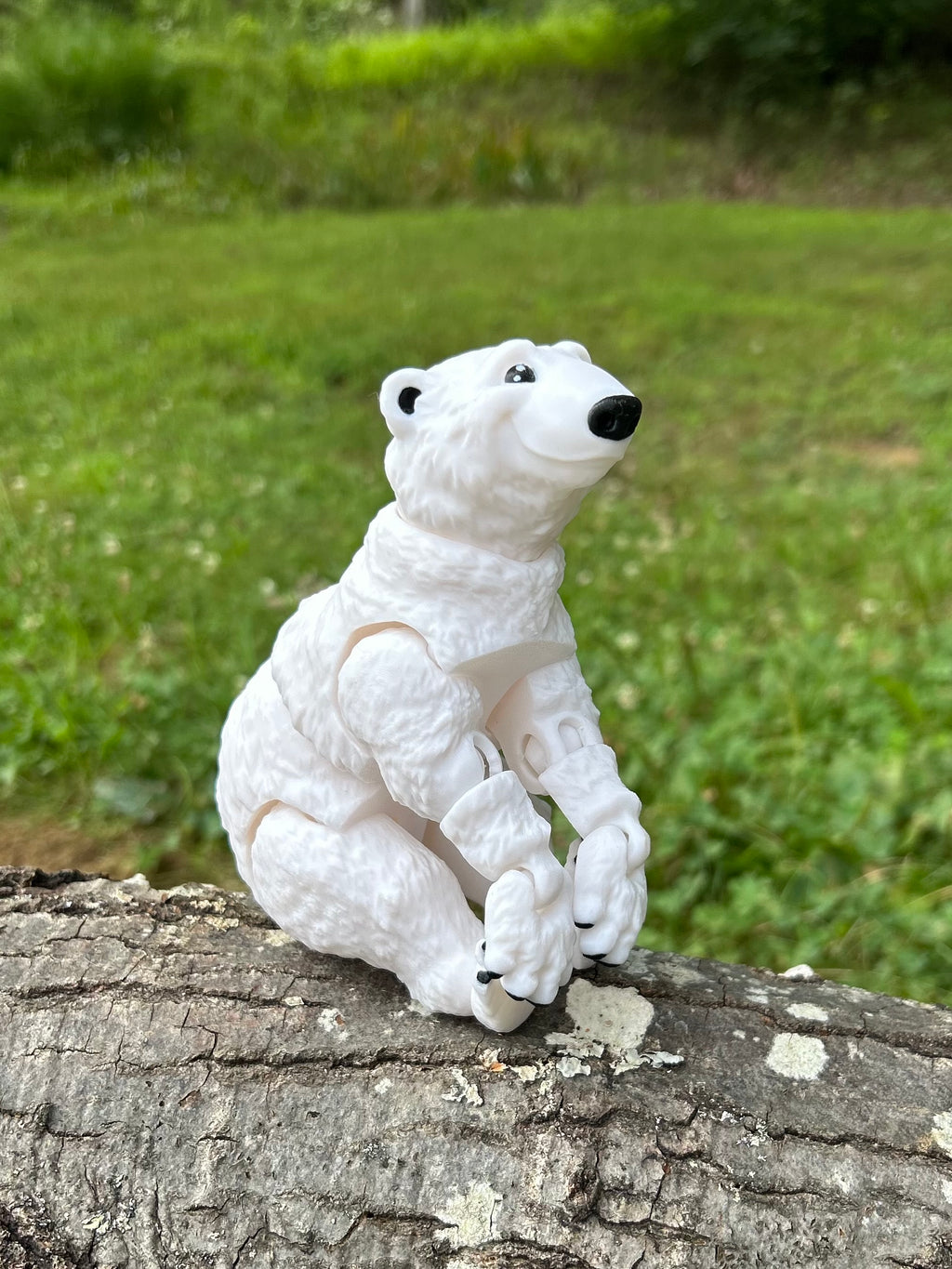 Polar Bear