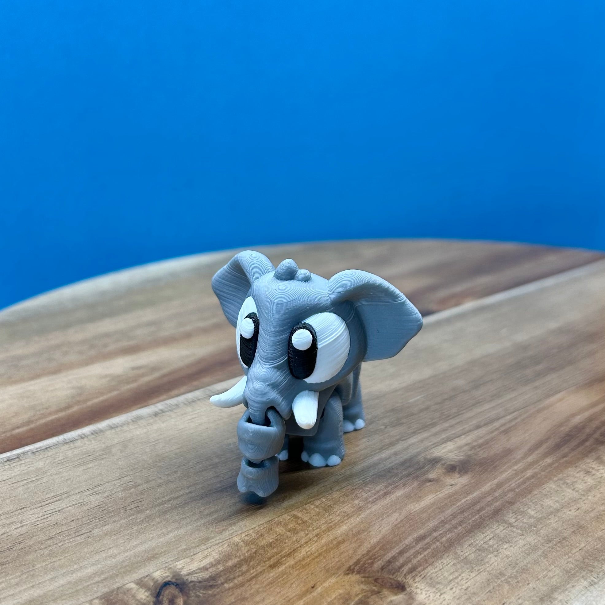 Safari & Jungle- Chaos Critters